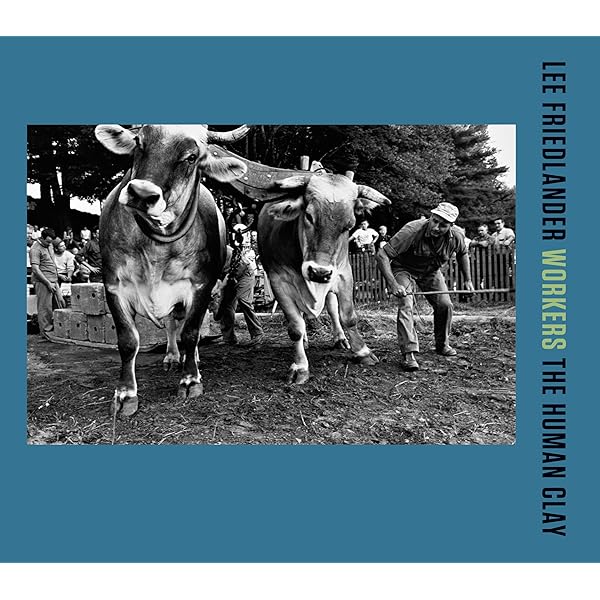 Lee Friedlander: The People's Pictures: Friedlander, Lee